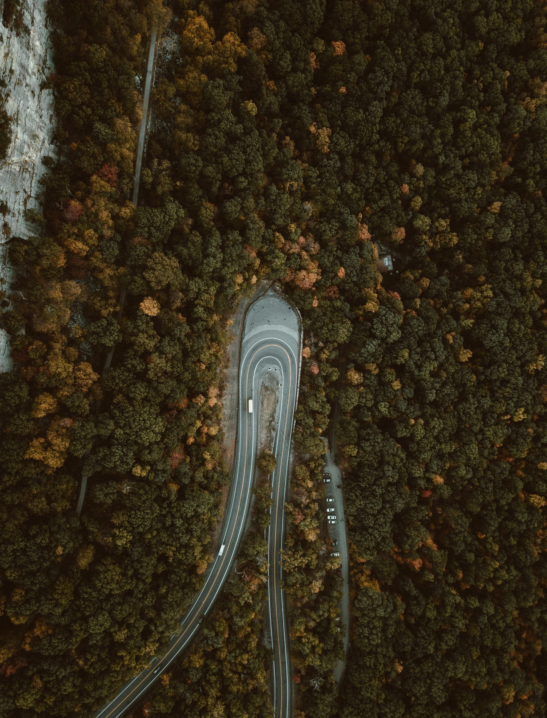 An aerial view of a road going through a forest.