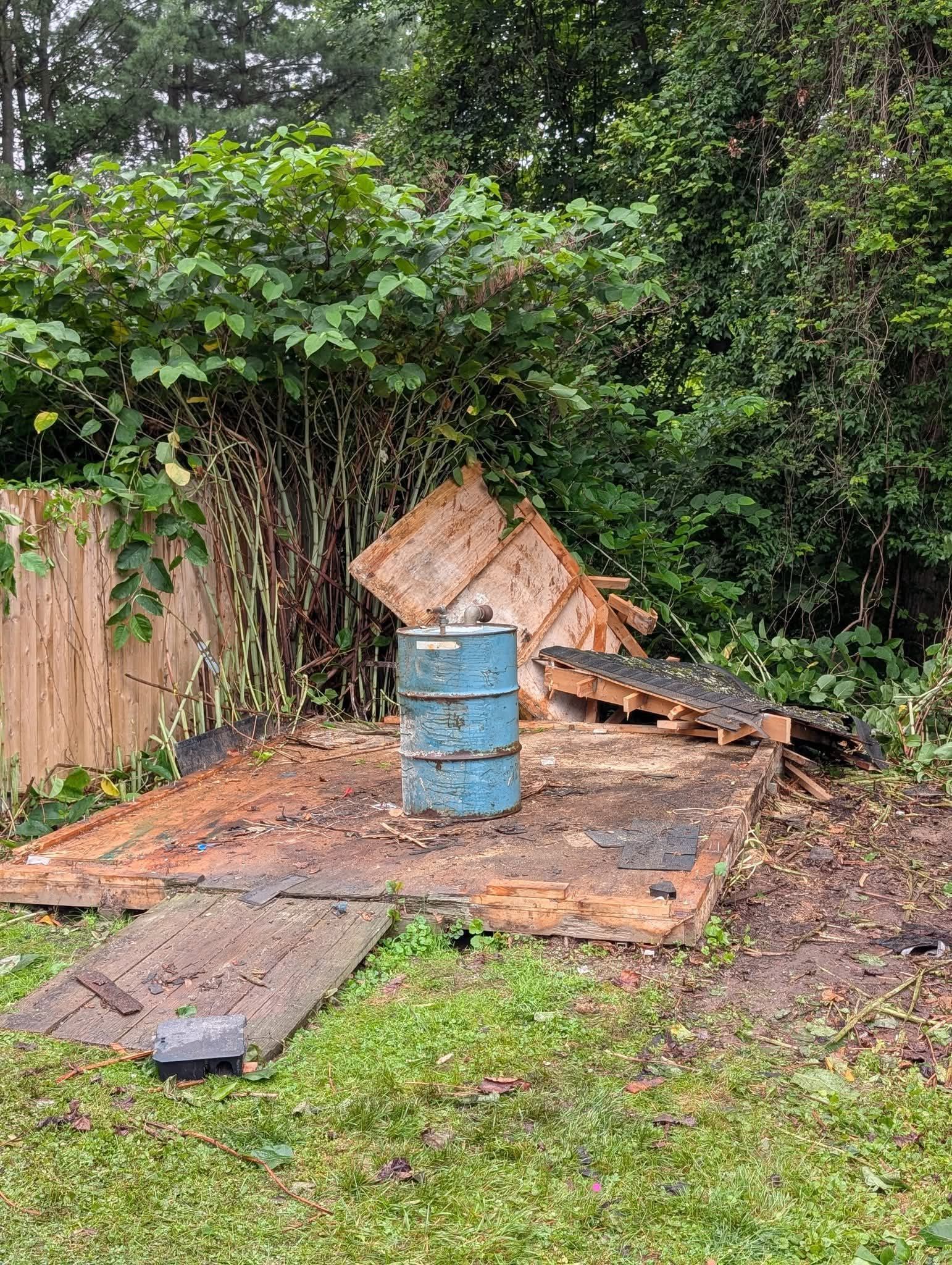 Ruined wooden shed with blue barrel inside, surrounded by overgrown foliage and wooden fence. Ruined wooden shed with blue barrel inside, surrounded by overgrown foliage and wooden fence.