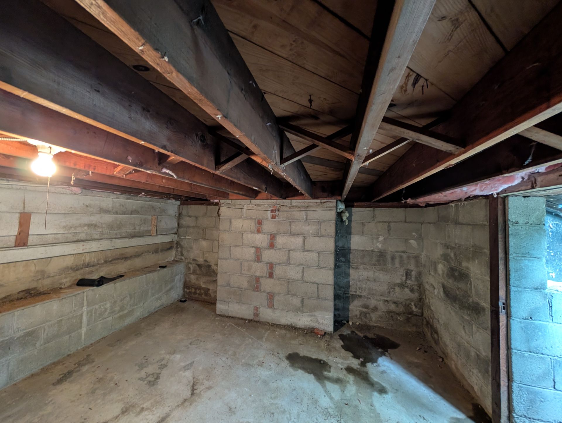 Basement interior with concrete block walls, wooden ceiling beams, and a concrete floor with water stains.