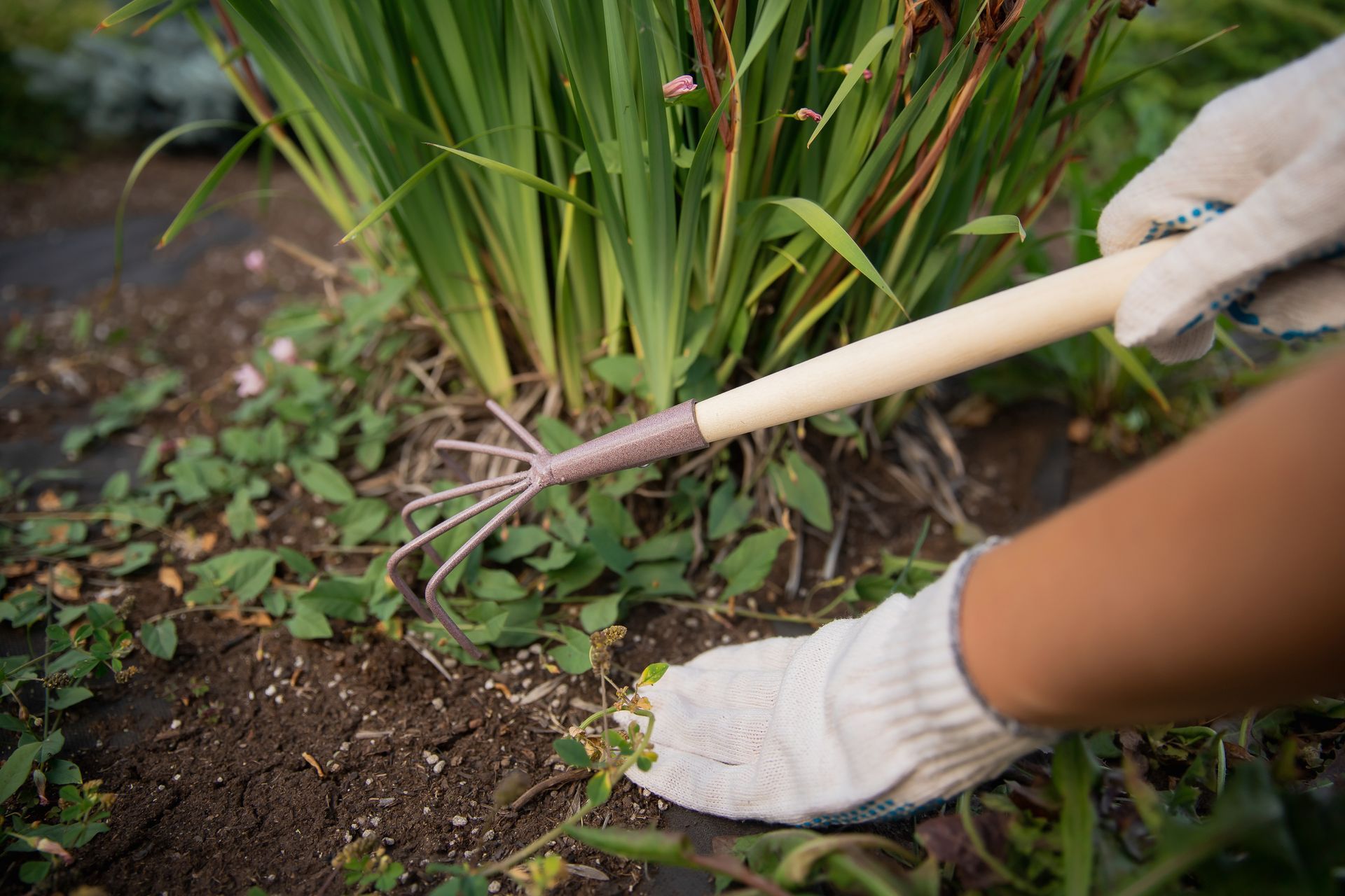 Building Flower Bed