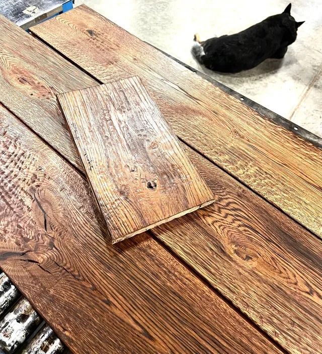 Black cat resting on a light floor beside weathered wooden planks with one board lifted