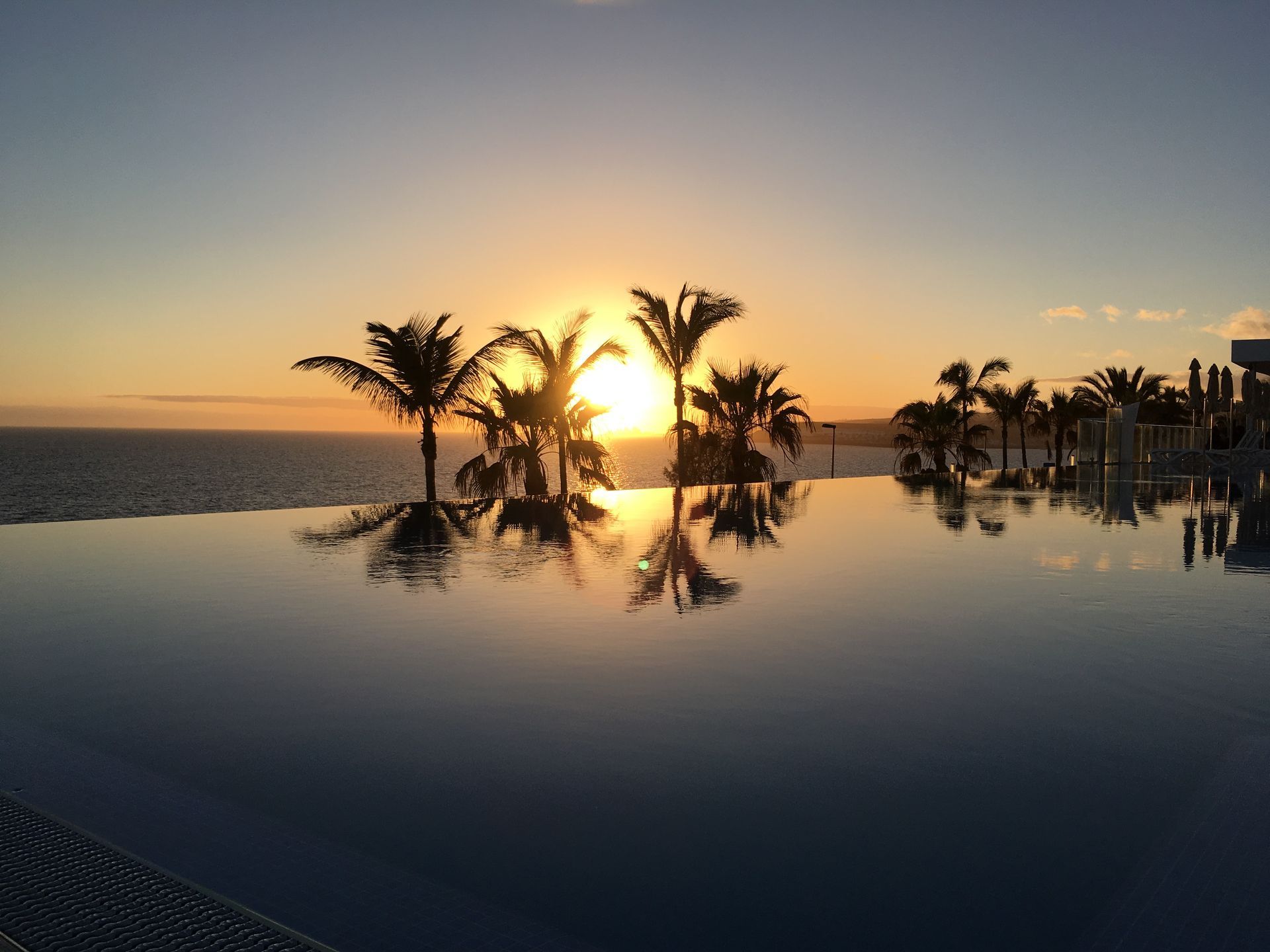 Sunset over ocean and infinity pool, palm trees silhouetted, reflecting in the still water.