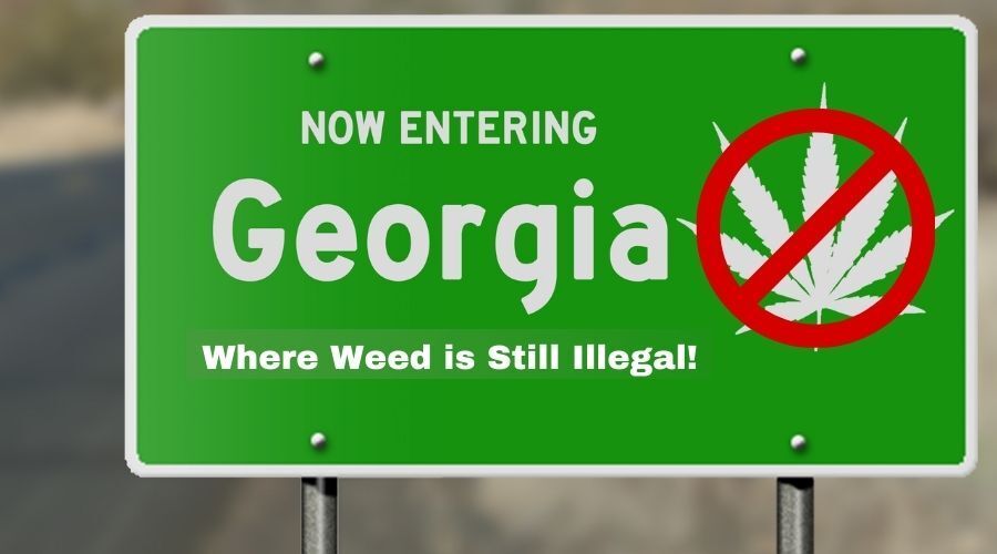 Georgia marijuana sign