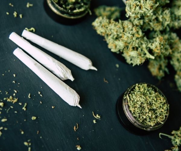 rolled marijuana joints