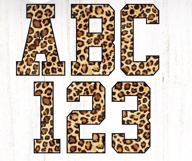 Softball Multi Leopard Sandstone Crewneck