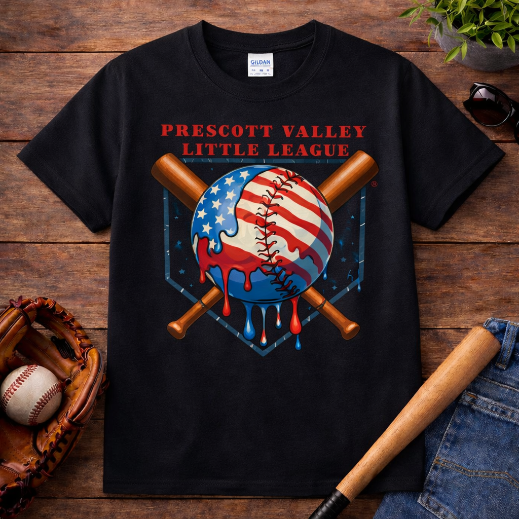 Patriotic Drip T-shirt - grey