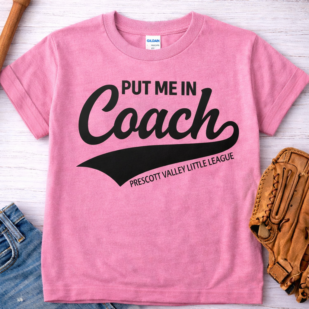 Put Me in Coach T-shirt - grey