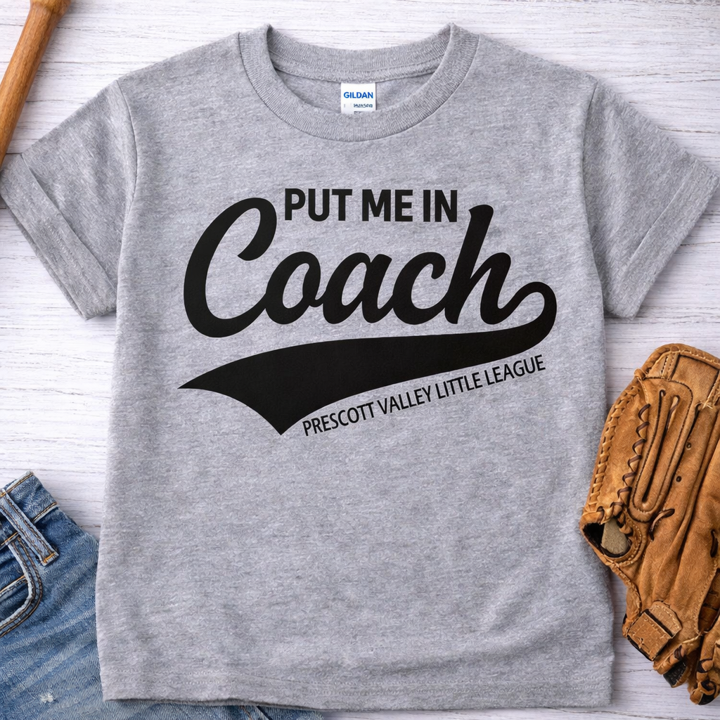 Put Me in Coach T-shirt - grey
