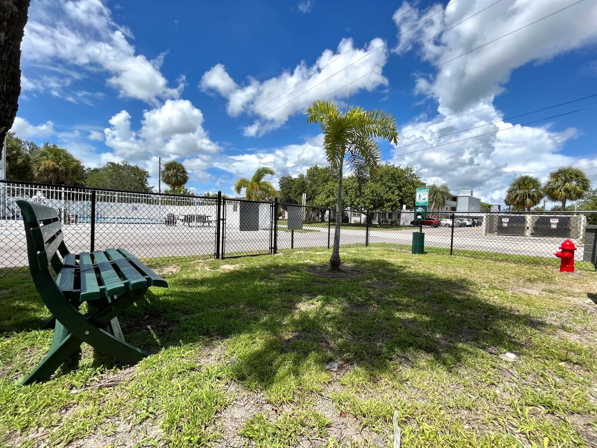 Green bench in a dog park under a bright blue sky with fluffy clouds.