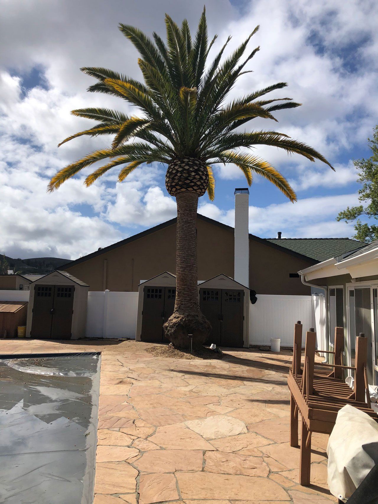 Conejo Valley Tree After — About Our Company in Thousand Oaks, CA