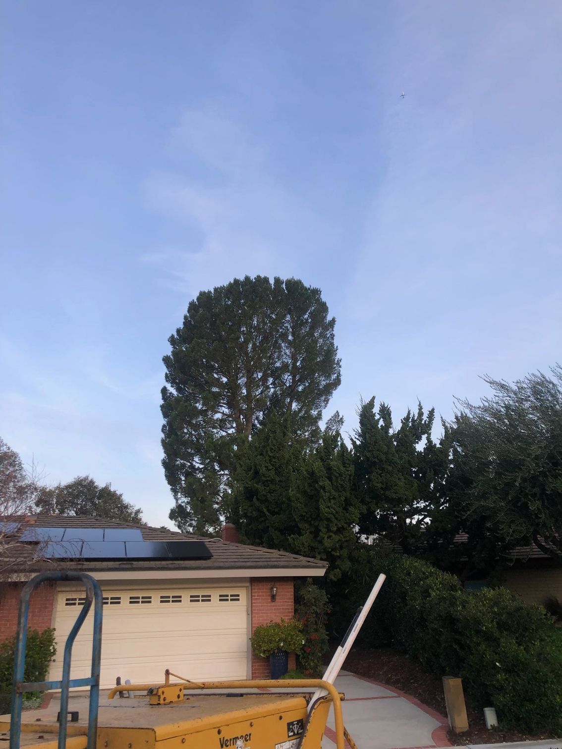 A house with a large tree in front of it