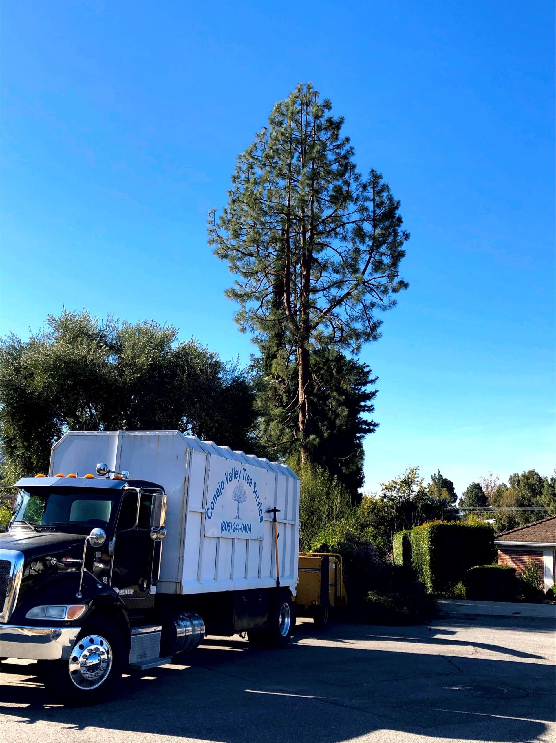 Company Truck — Thousand Oaks CA — Conejo Valley Tree Service