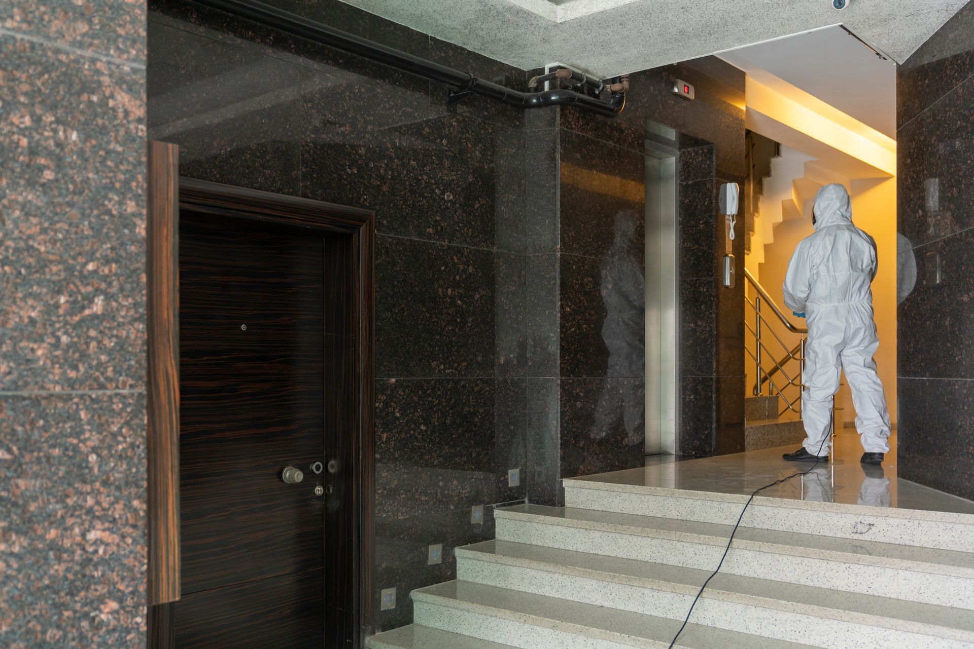 Due ratti marroni che razzolano su una superficie chiara; uno mangia, l'altro annusa.