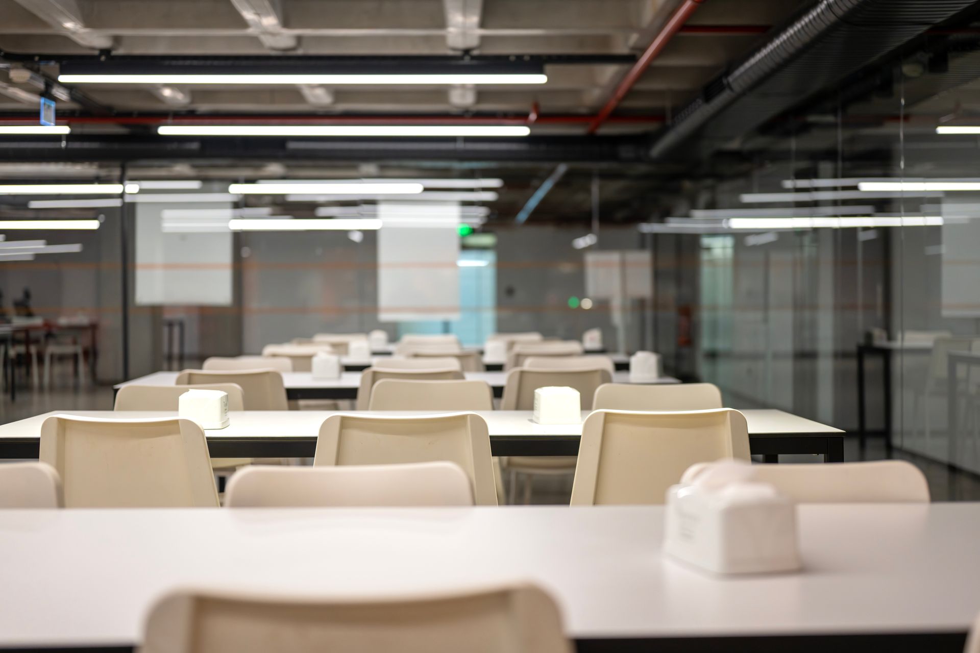 Due ratti marroni che razzolano su una superficie chiara; uno mangia, l'altro annusa.