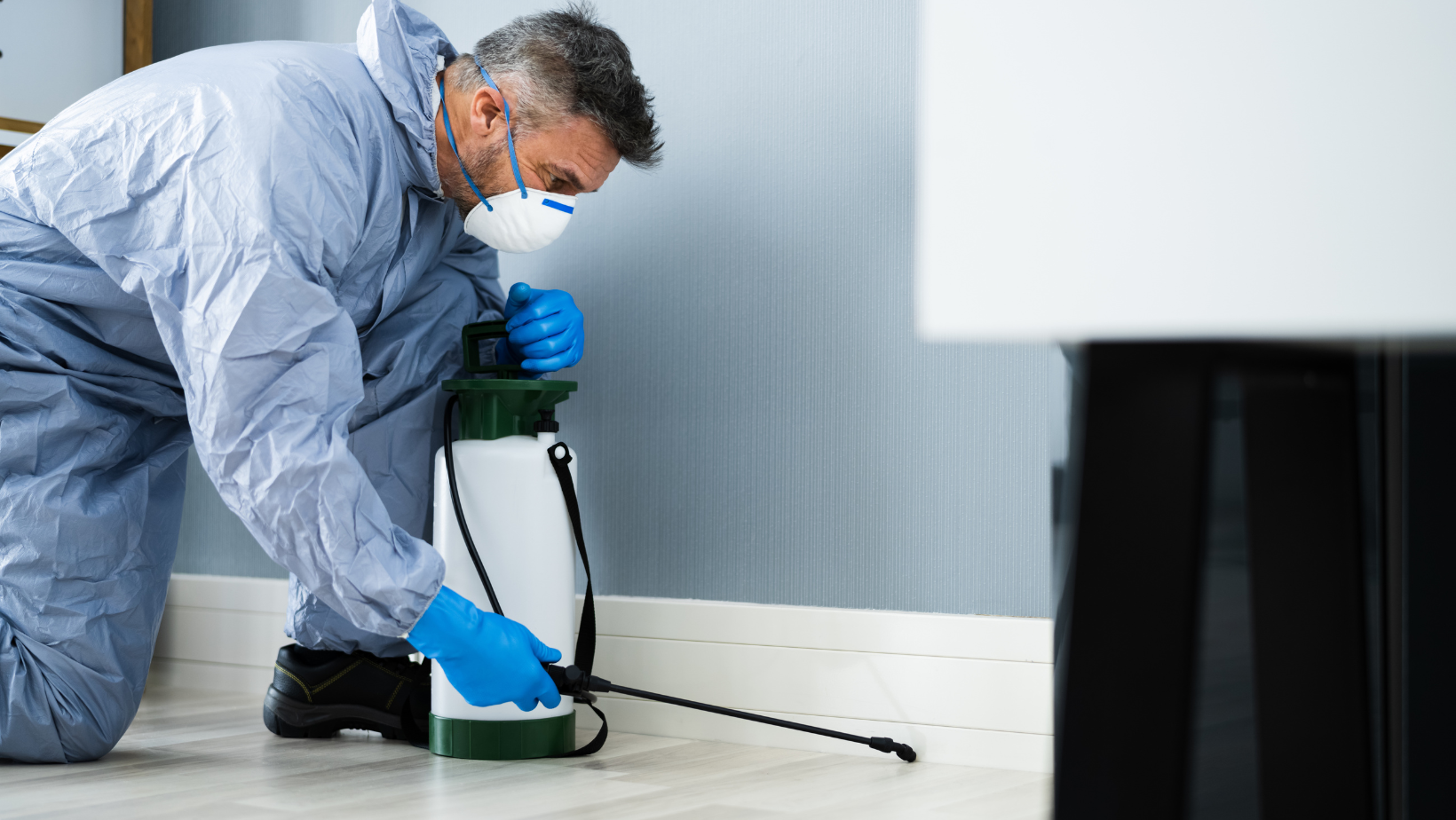 Pest Control - Senoia, GA - Home Source Pest Control