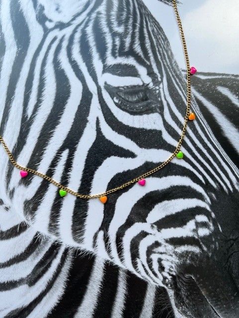 Neon hartjes ketting