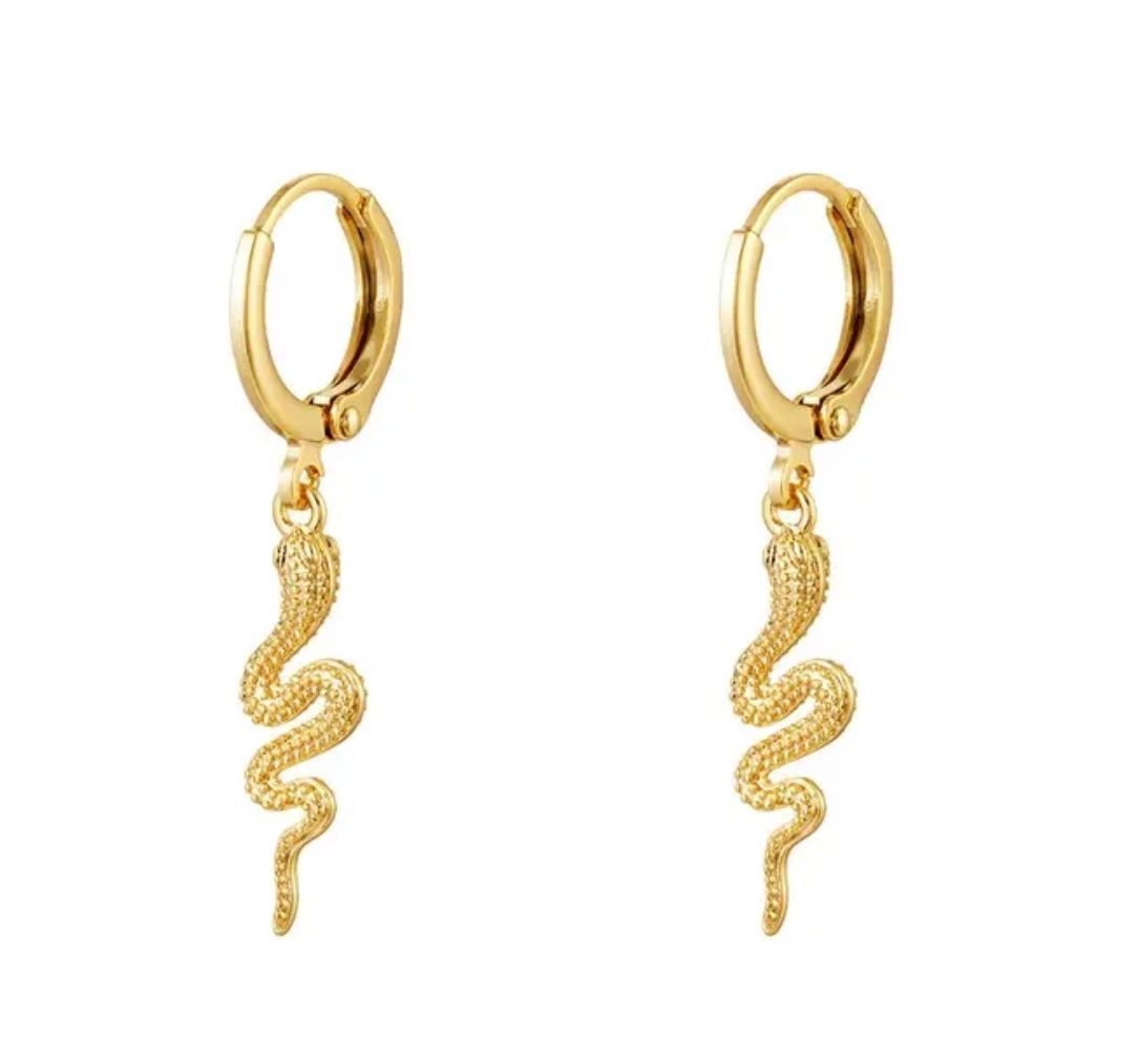 Oorbellen slang goud of zilver