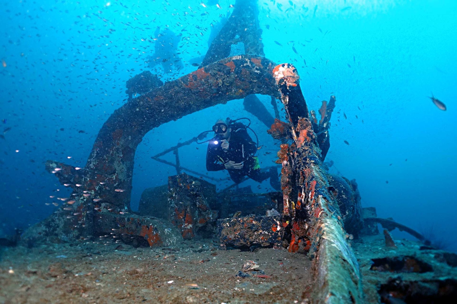 Wreck Diving