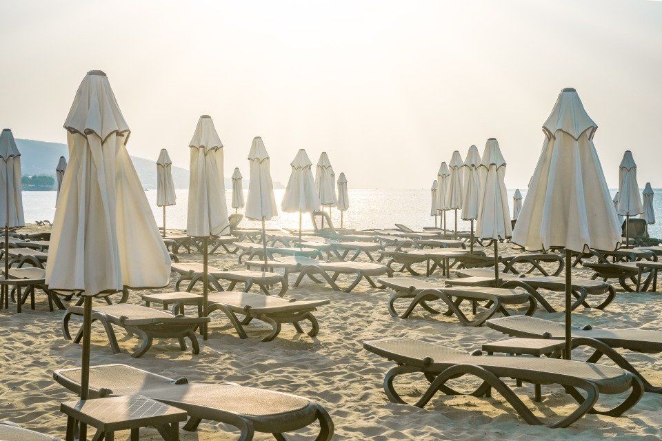 parasols installed on a beach