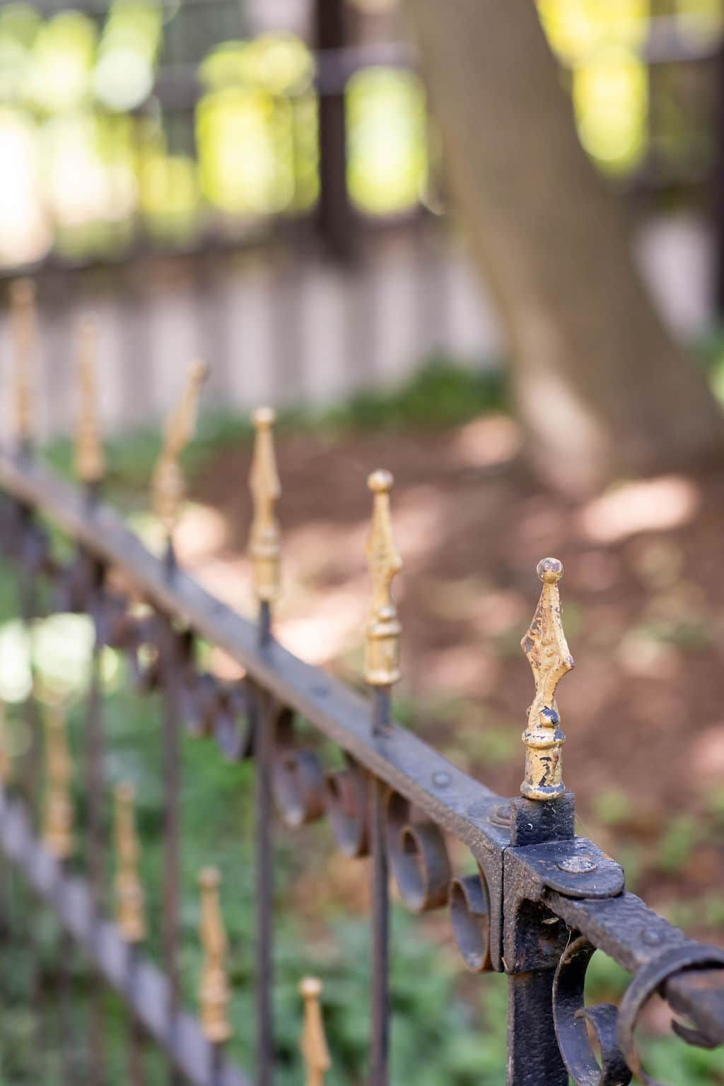 A close up of a wrought iron fence with gold spikes in a park.