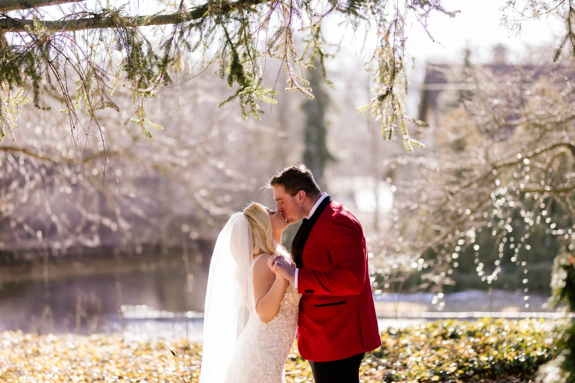 A bride and groom are kissing under a tree in a park.