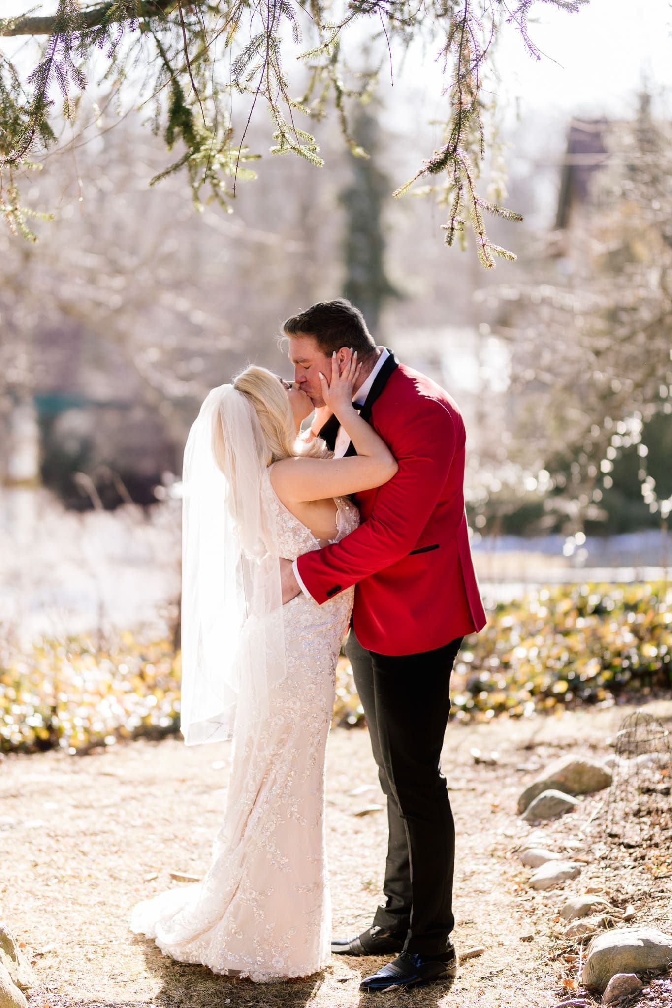 A bride and groom are kissing under a tree on their wedding day.