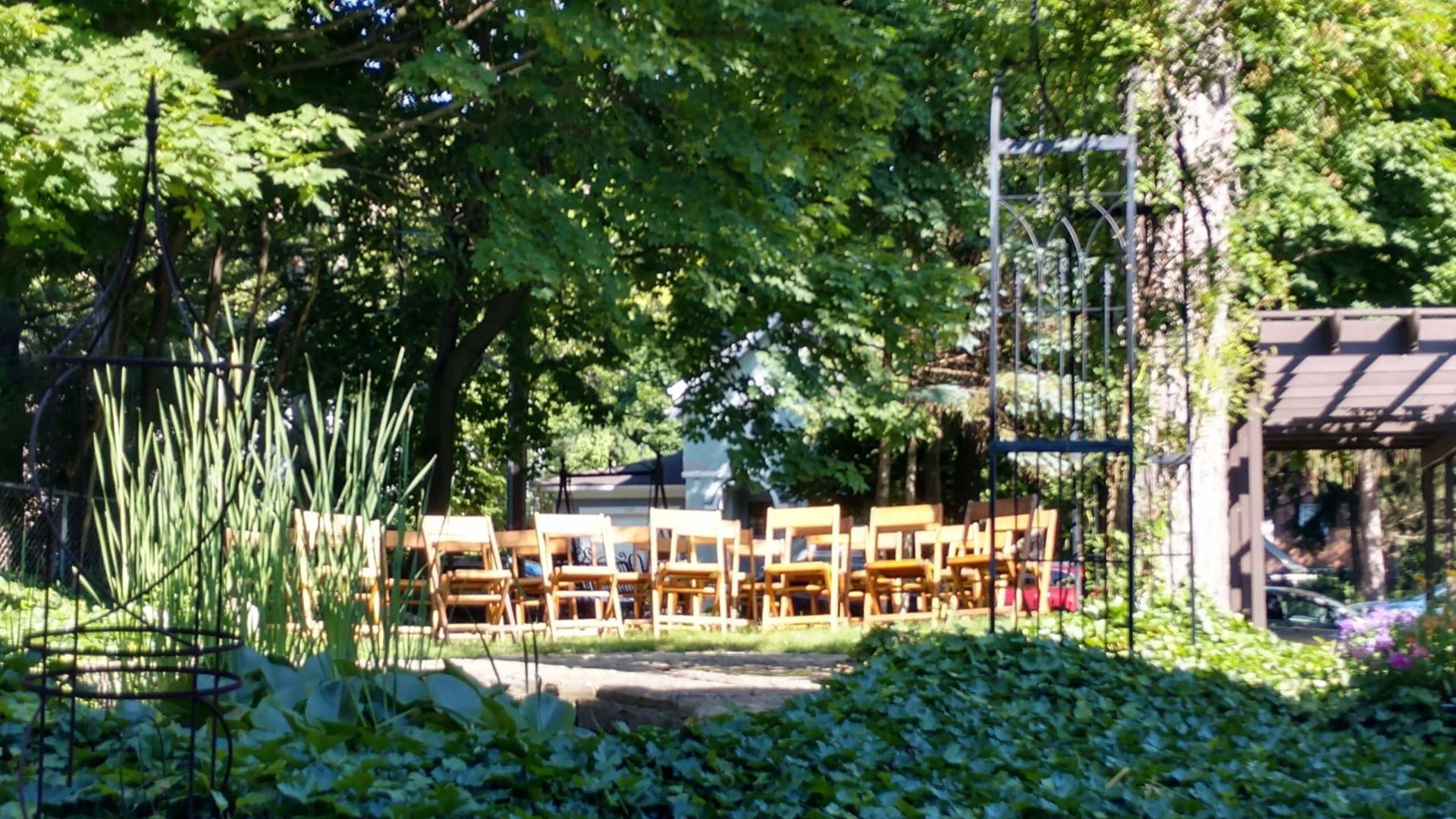 A row of chairs are lined up in a park.