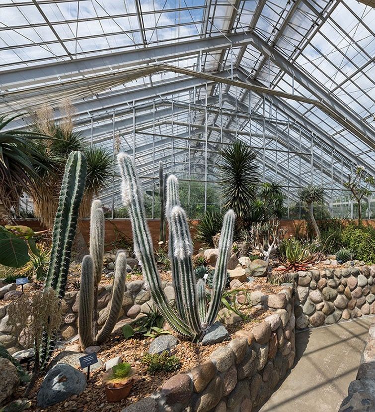 A greenhouse filled with lots of cactus and plants
