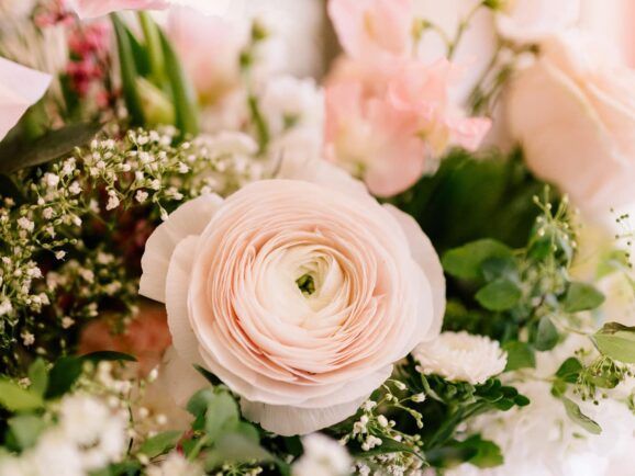 Close-up of a pale pink ranunculus flower surrounded by other flowers and greenery.