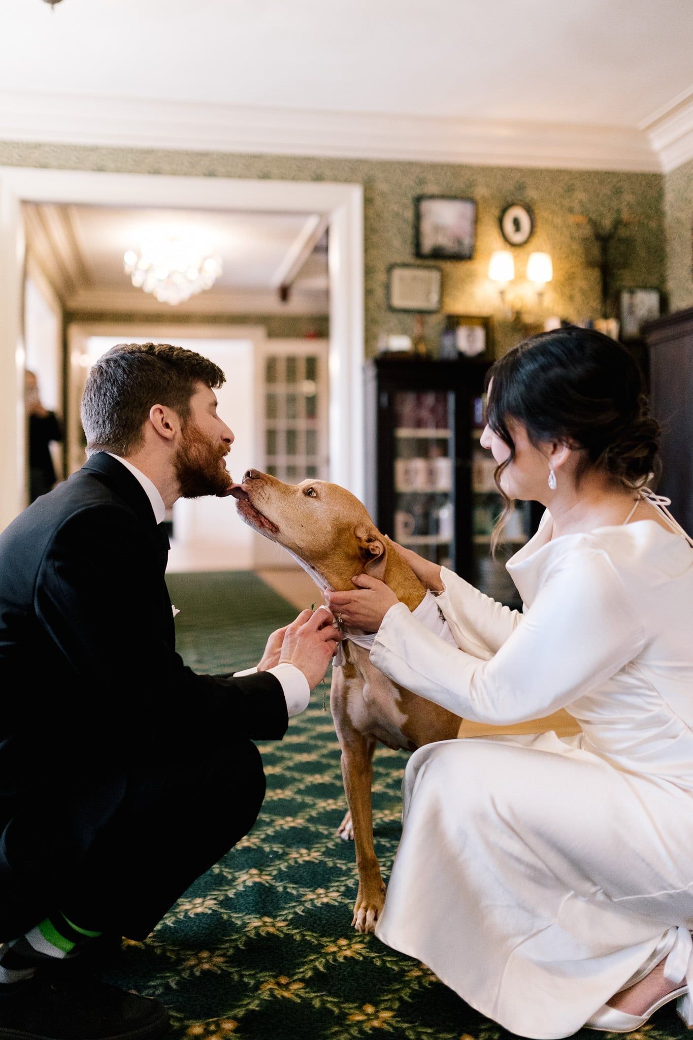 A bride and groom are petting a dog on their wedding day.