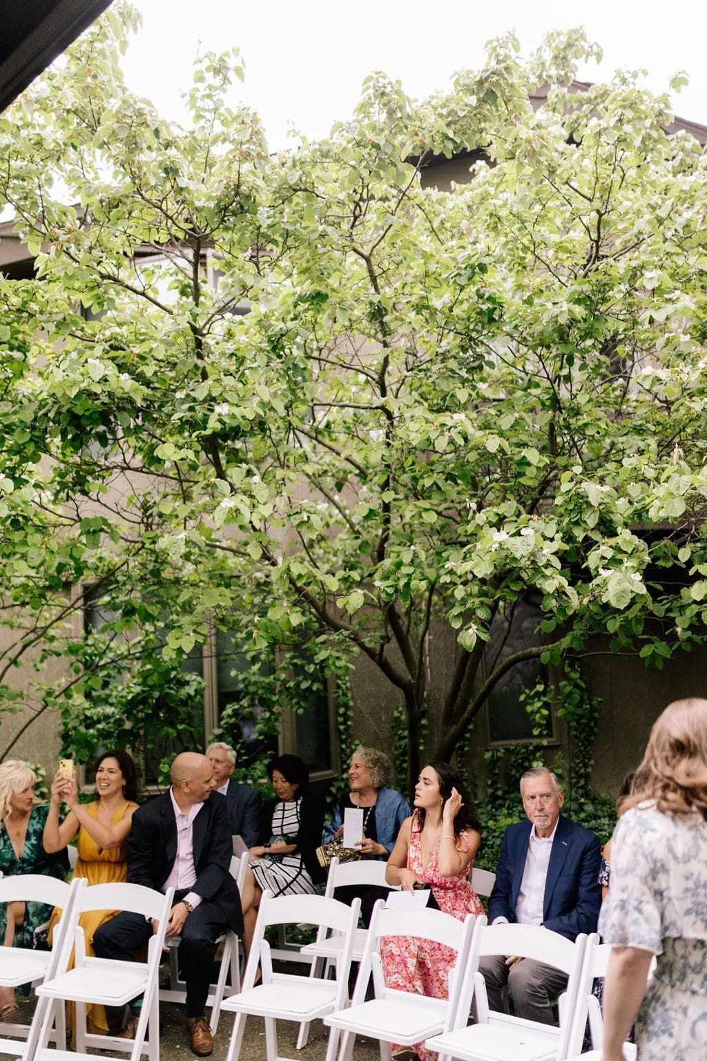 A group of people are sitting in white chairs under a tree.