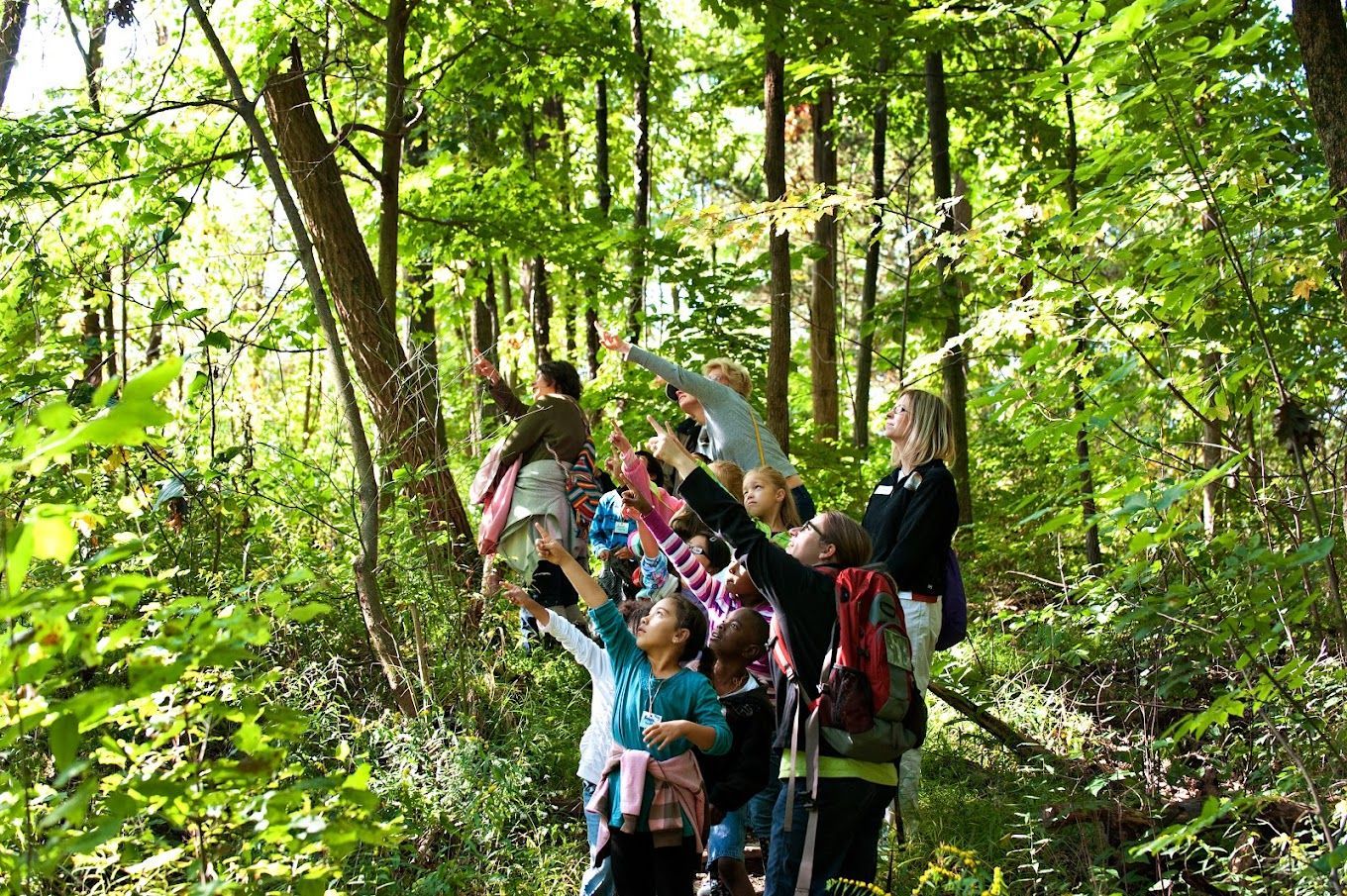 A group of people are standing in the woods with their arms in the air.