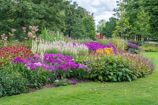 There are many different types of flowers in this garden.