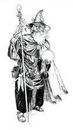 Wizard in robes and hat, holding staff and orb.