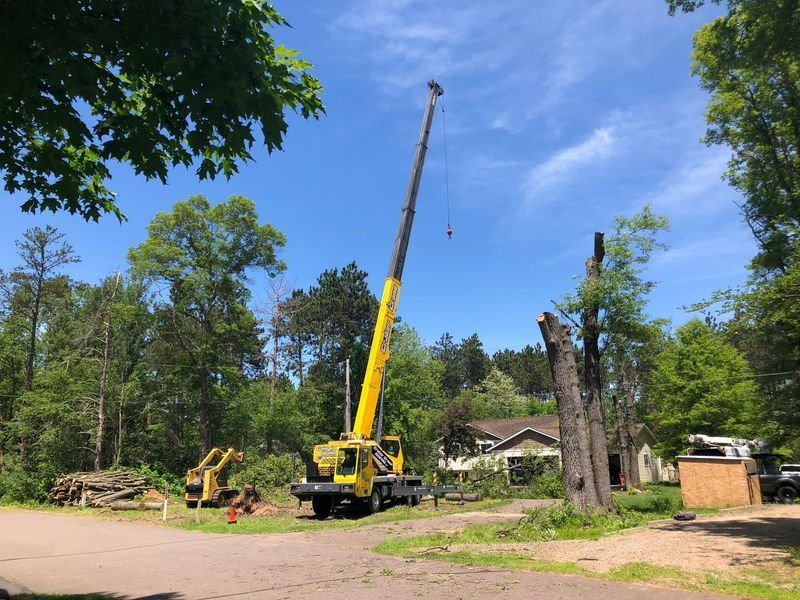 A yellow crane is working on a tree in a yard.