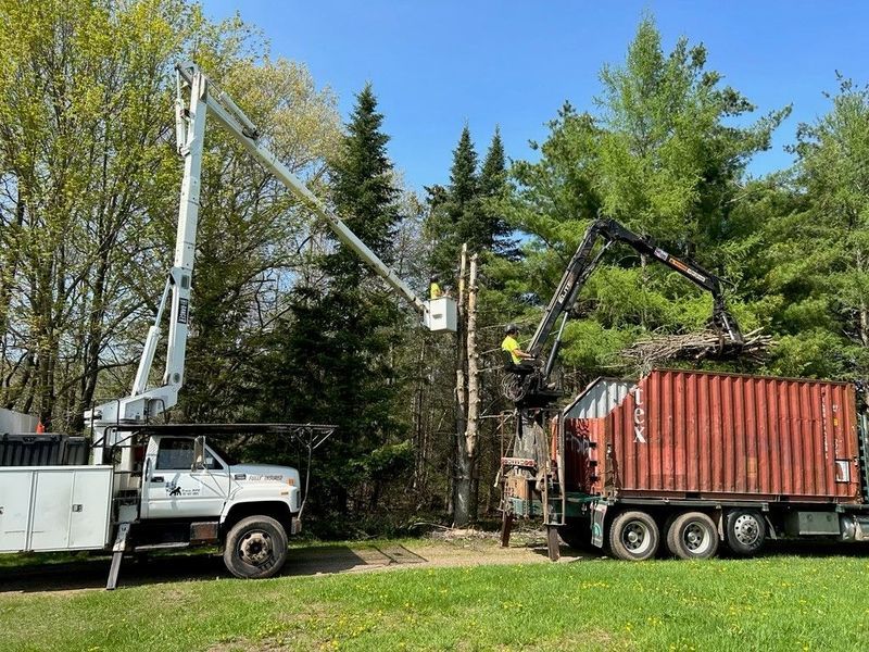 A truck with a crane attached to it is parked next to a red container.