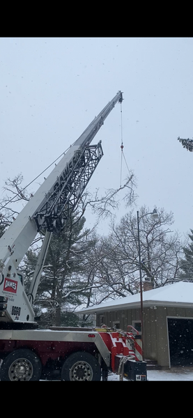 A crane is lifting a tree in the snow in front of a house.