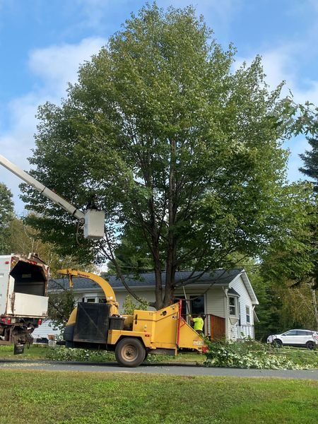 A tree is being cut down by a machine in front of a house.