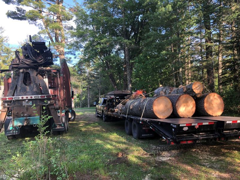 A truck is carrying logs on a trailer in the woods.