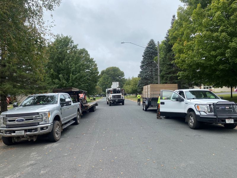 A row of trucks are parked on the side of the road.