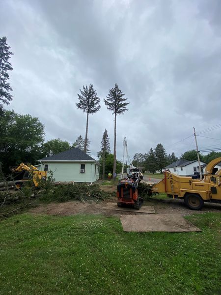 A tree chipper is cutting down a tree in front of a house.