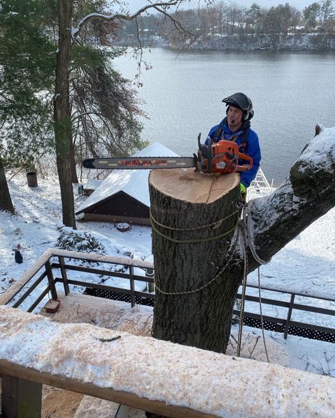 A man is cutting a tree trunk with a chainsaw