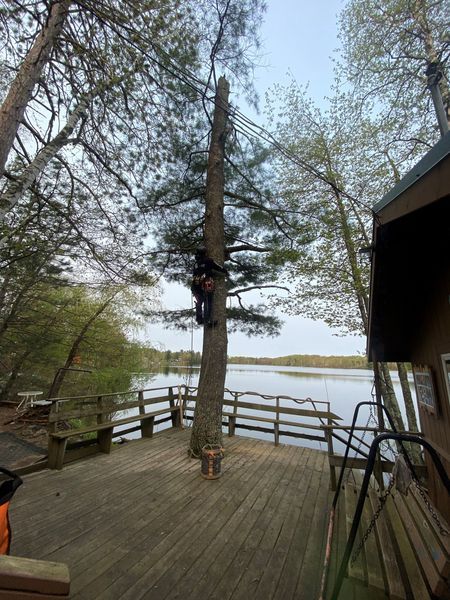 A man is climbing a tree on a deck overlooking a lake.
