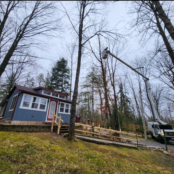 A house is surrounded by trees and a truck is parked in front of it.
