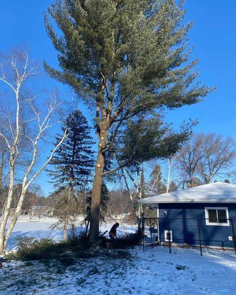 A man is cutting down a pine tree in front of a house in the snow.