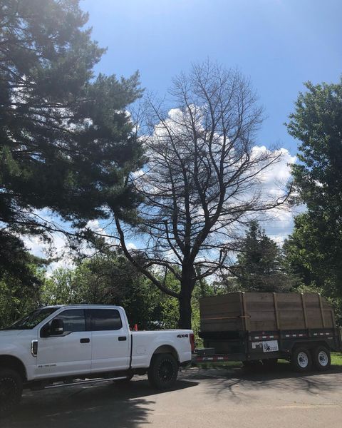 A white truck is parked in a parking lot next to a tree.
