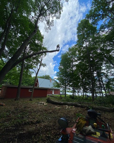 A tree is being cut down in front of a house.