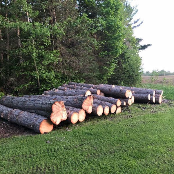 A bunch of logs are stacked on top of each other