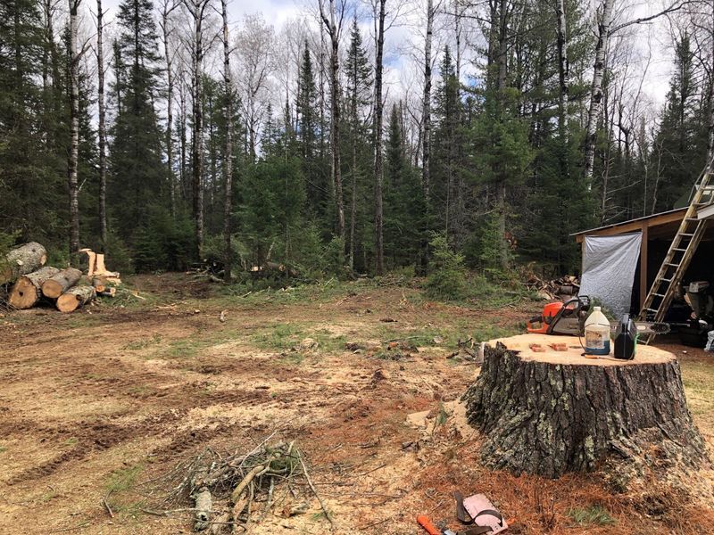 A large tree stump is sitting in the middle of a forest.