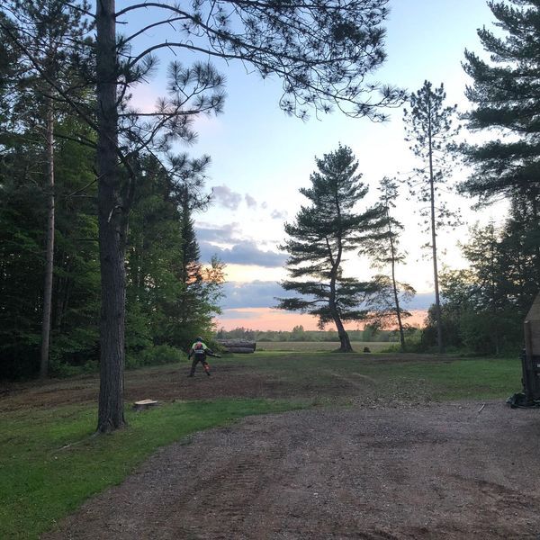 A dirt road with trees on both sides of it